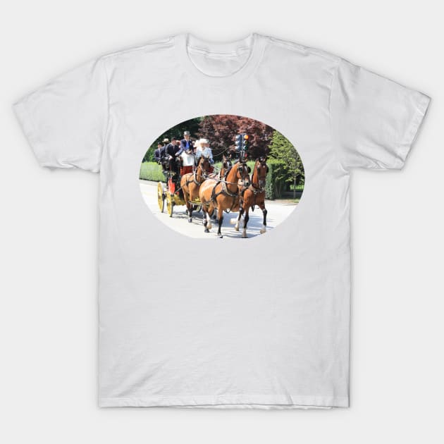 Newport Horses and Carriages T-Shirt by Laybov